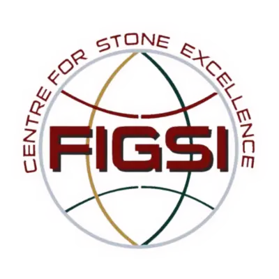 FIGSI logo